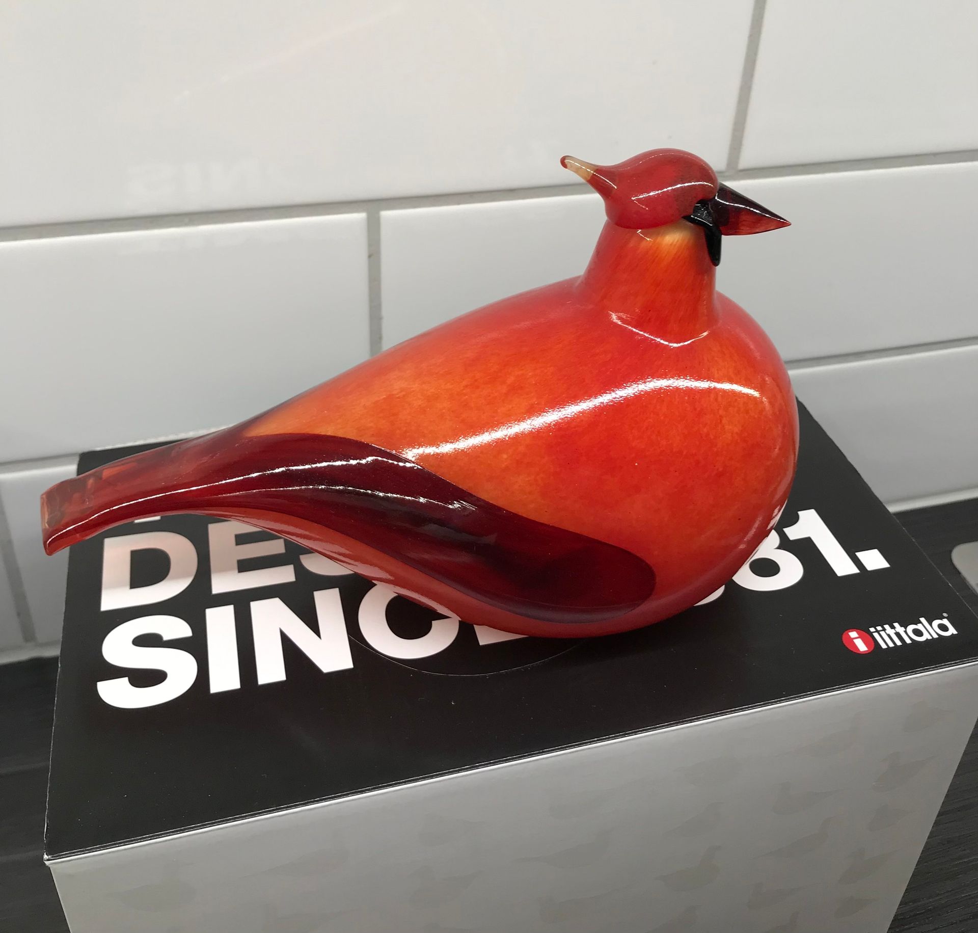 Red Cardinal | Franckly